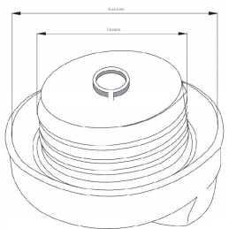 Fendt g411201060110 degalų bako dangtelis