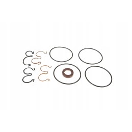 6005029481 hidraulinio siurblio sandarikliai