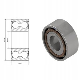 Guolis 3306 dr002628