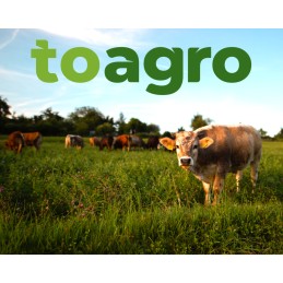 Lėto greičio įspėjamasis trikampis, laikiklio lenta