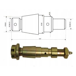 C50 pavaros tvirtinimo kaištis, ilgas mtz 150mm