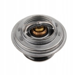 Termostatas Zetor Forterra 78005077 originalus
