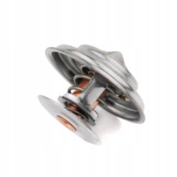 Termostatas Zetor Forterra 78005077 originalus