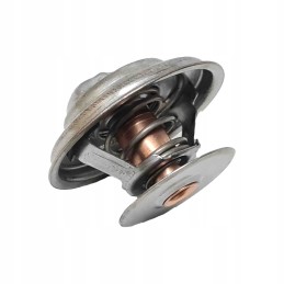 Termostatas Zetor Forterra 78005077 originalus