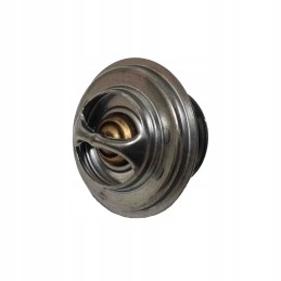 Termostatas Zetor Forterra 78005077 originalus