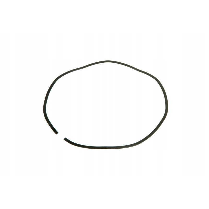 3795274m1 bangų spyruoklė