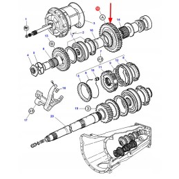 3582985m1 krumpliaratis 38 dantukai