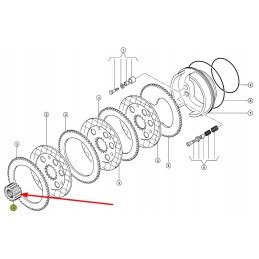 316734 0 krumpliaračio stebulė