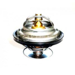 Termostatas Zetor Forterra 78005077