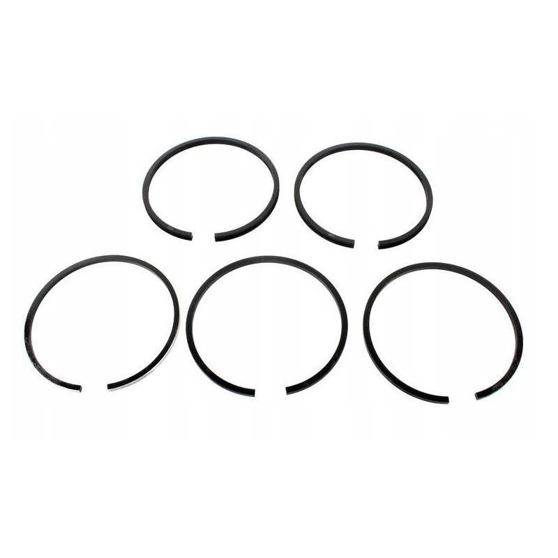 Stūmoklio žiedų rinkinys ursus c 360 fi 95 5