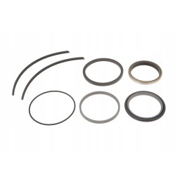 229 13 darbinio cilindro remonto komplektas