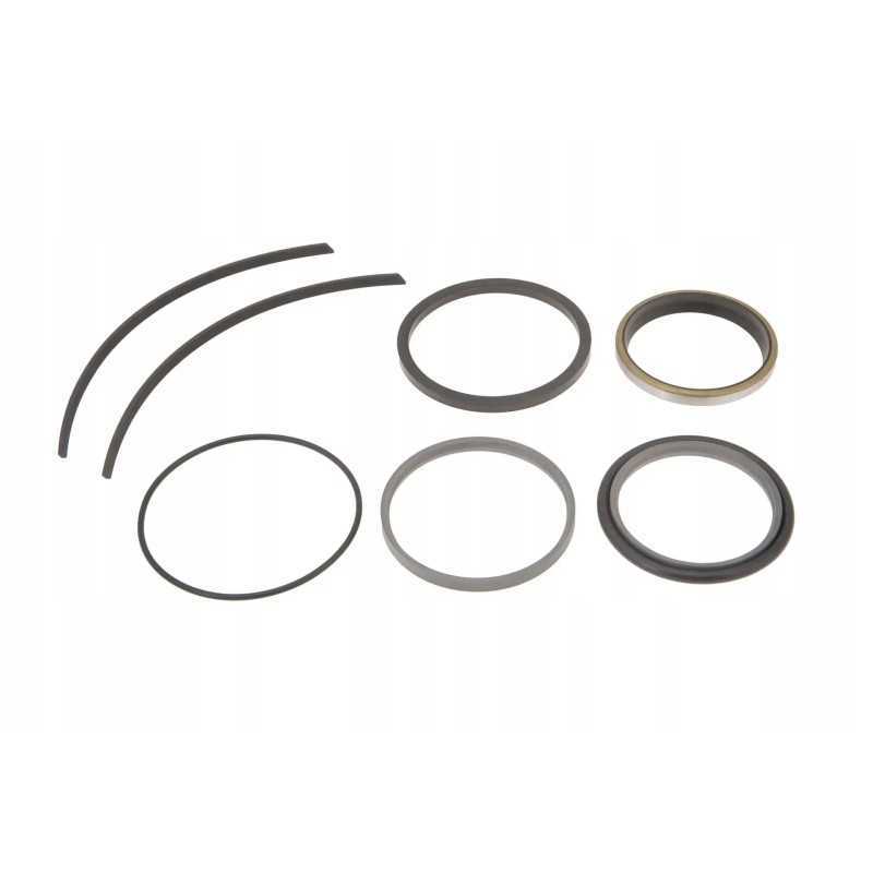 229 13 darbinio cilindro remonto komplektas