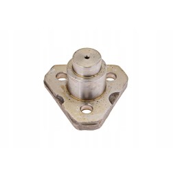 1995414c1 karališkasis kaištis