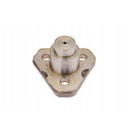 1995414c1 karališkasis kaištis