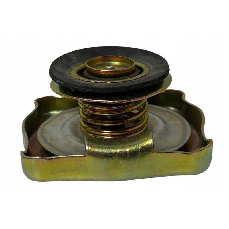 Radiatoriaus dangtelis, skirtas Ursus C 385 C385