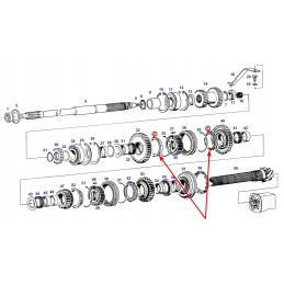 199110080210 sinchronizatoriaus žiedas
