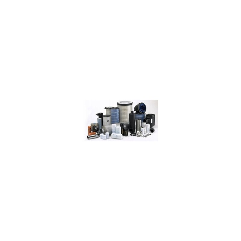 P601286 oro filtro įdėklas