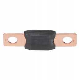 Saugiklis 100a tg210 285 new Holland 440572a1