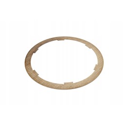 0021943480 frikcinis diskas