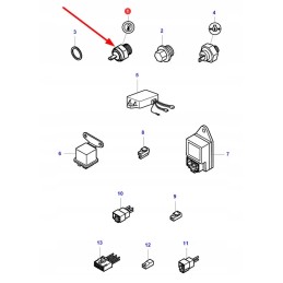 0 010 2748 1 temperatūros jutiklis