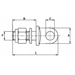 Stabilizatoriaus galo ąsos varžtas m24x2 5 q24