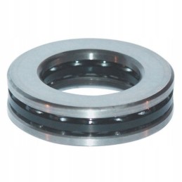 Pilnas vairo guolio guolis wladimirec t 25 t25