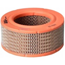 Donaldson P607325 oro filtras