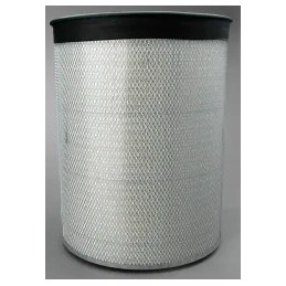 Donaldson P182040 oro filtras