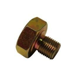 Kuro įsiurbimo vamzdžio varžtas Wladimirec T 25 A2550146