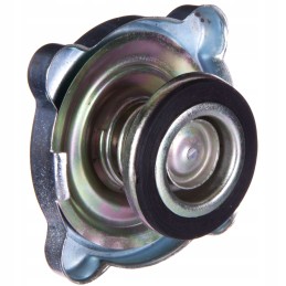 Radiatoriaus dangtelis ursus c 330 c 330 84613912