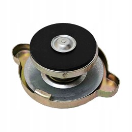 Radiatoriaus dangtelis c 360 c 360 3p 50413610