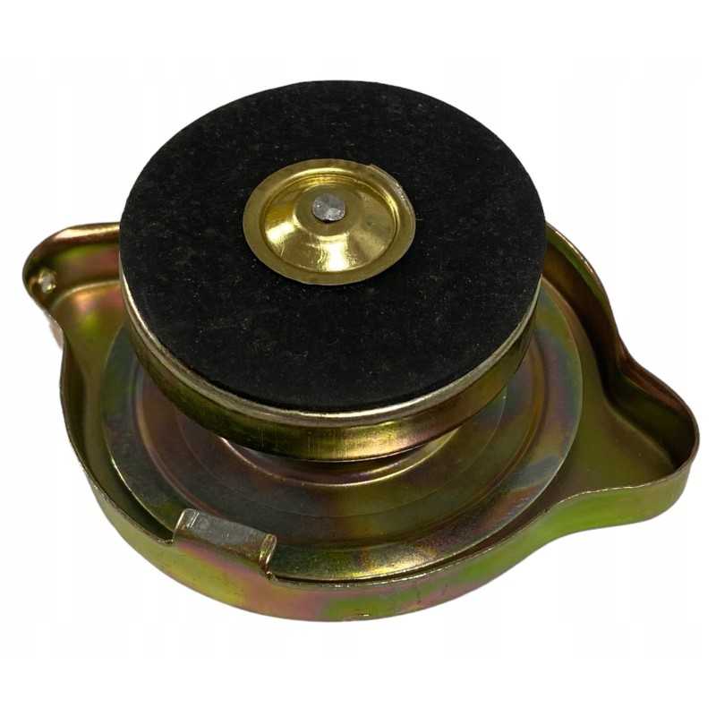 Radiatoriaus dangtelis c 360 c 360 3p 50413610