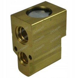 Oro kondicionieriaus išsiplėtimo vožtuvas 3555146m91 7700041141