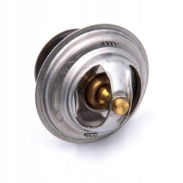 Termostatas 385 Zetor 6100 01 89005904 70011316