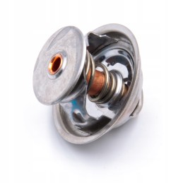 Termostatas 385 Zetor 6100 01 89005904 70011316