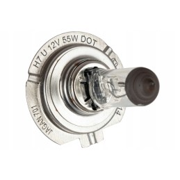 Lemputė h 7 h7 12v 55w