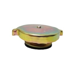 Radiatoriaus dangtelis c 360 50413610 Lenk