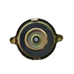 Radiatoriaus dangtelis c 360 50413610 Lenk