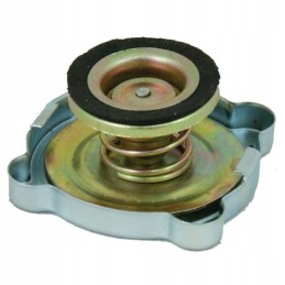 Radiatoriaus dangtelis ursus c 330 42310160