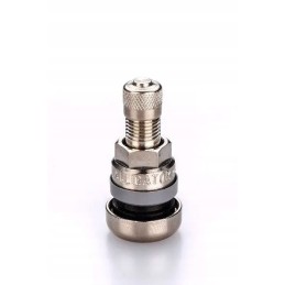 Aligatoriaus bekamerinis vožtuvas 31ms