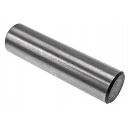 Kuro siurblio kaiščio stūmiklis vpd3077