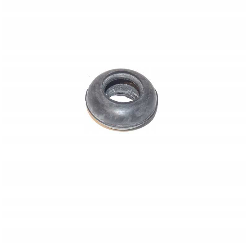 Dangtis vairo galo ursus c 330 50535150