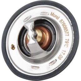Termostatas new Holland 98463637 83931532 fi 54mm for