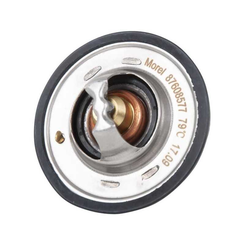 Termostatas new Holland 98463637 83931532 fi 54mm for