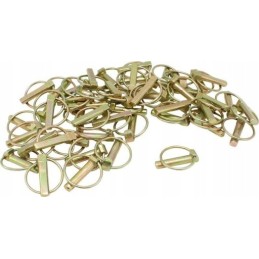 Žemės ūkio sijos kaištis 10 mm 50 vnt