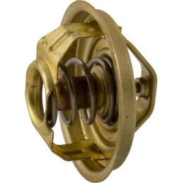 Termostatas tinka c 385 4 cil