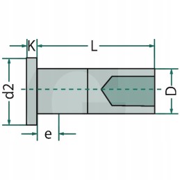 Varinė kniedė 5x10 mm kaina už 100 vnt