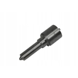 Case dsla145p1441 įpurškimo antgalis