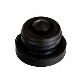 Case Ford stabdžių siurblio remonto komplektas