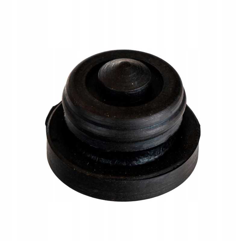 Case Ford stabdžių siurblio remonto komplektas